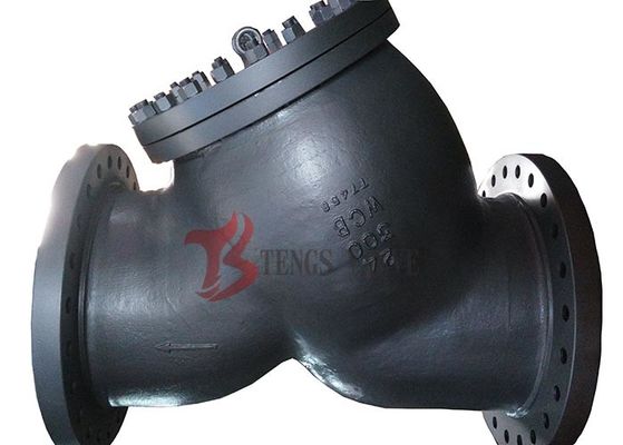 Cast Carbon Steel Flanged Wye Strainer Lightweight For Low / High Pressure