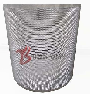 Duplex Stainless Steel Y Strainer Screen Class 150LB - 1500LB 20 - 200 Mesh