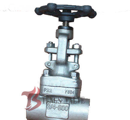 3/4 Inch Industrial Globe Valve 800LB , Forged Stainless Steel Globe Valve